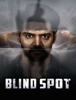 فيلم Blind Spot 2025 مترجم