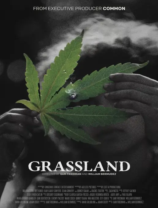 فيلم Grassland 2025 مترجم