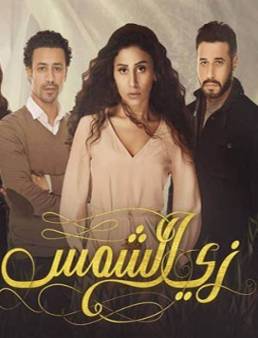 مسلسل زي الشمس الحلقة 12