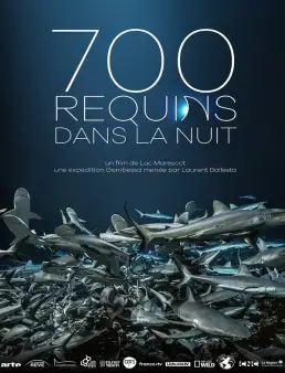 فيلم 700 Sharks 2018 مترجم