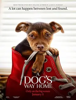 فيلم A Dog's Way Home 2019 مترجم