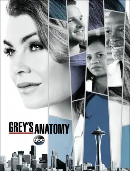 مسلسل Grey's Anatomy الموسم 14 الحلقة 19
