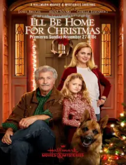 مشاهدة فيلم I'll Be Home for Christmas مترجم