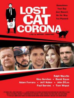 فيلم Lost Cat Corona مترجم