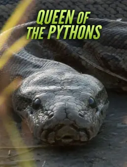 فيلم Queen of the Pythons 2019 مترجم