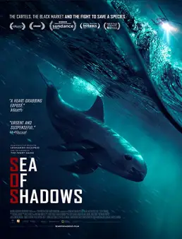 فيلم Sea of Shadows 2019 مترجم