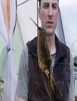 فيلم Super Hummingbirds 2016 مترجم