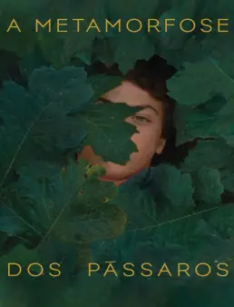 فيلم The Metamorphosis of Birds 2020 مترجم