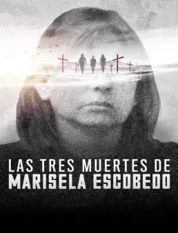 فيلم The Three Deaths of Marisela Escobedo2020 مترجم