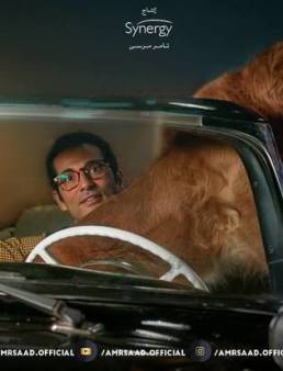 مسلسل بركة الحلقة 12