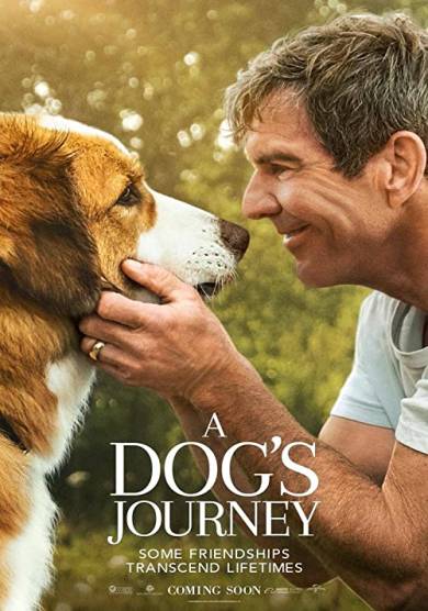 فيلم A Dog's Journey 2019 مترجم