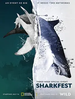 فيلم Man vs. Shark 2019 مترجم