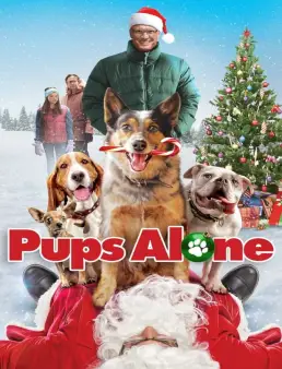 فيلم Pups Alone 2021 مترجم