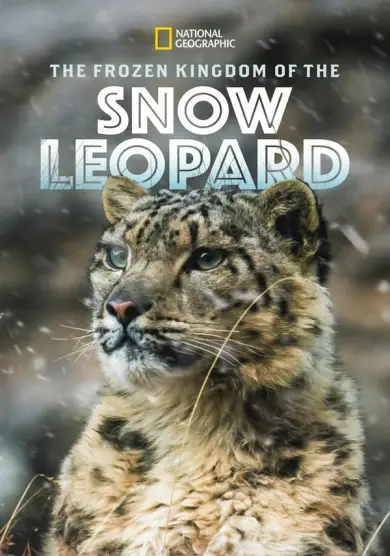 فيلم The Frozen Kingdom of The Snow Leopard 2020 مترجم