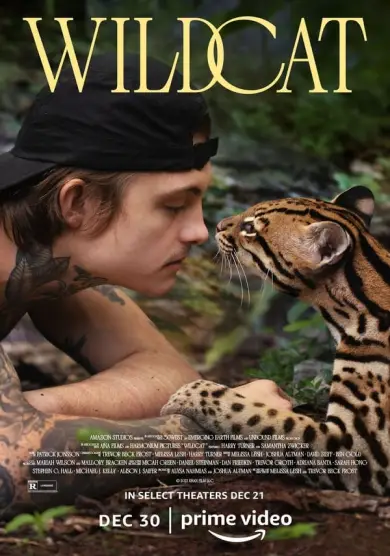 فيلم Wildcat 2022 مترجم