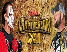 عرض TNA Slammiversary XI 2013