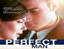 مشاهدة فيلم A Perfect Man مترجم اون لاين